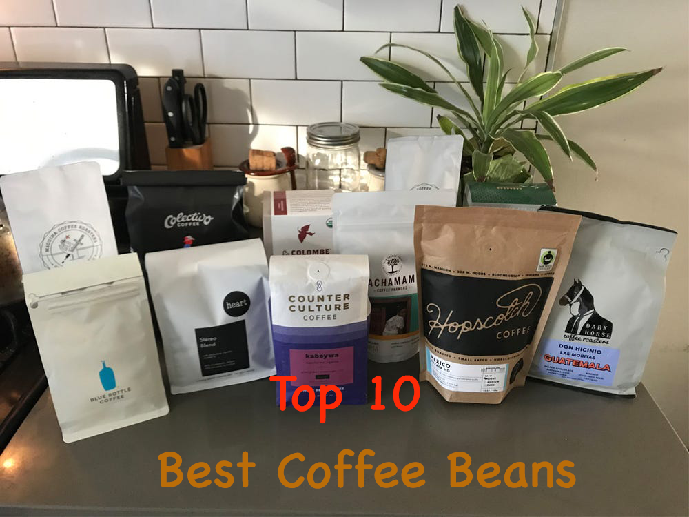 The Top Best Coffee Beans In The World To Buy 2024 - Cultured Coffee